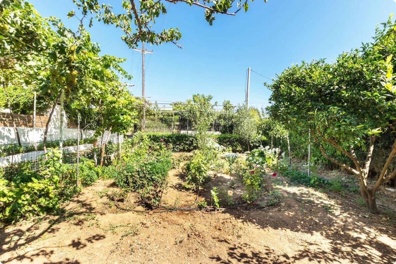 Apartamento Οικια Elisabeth Artemida  Exterior foto