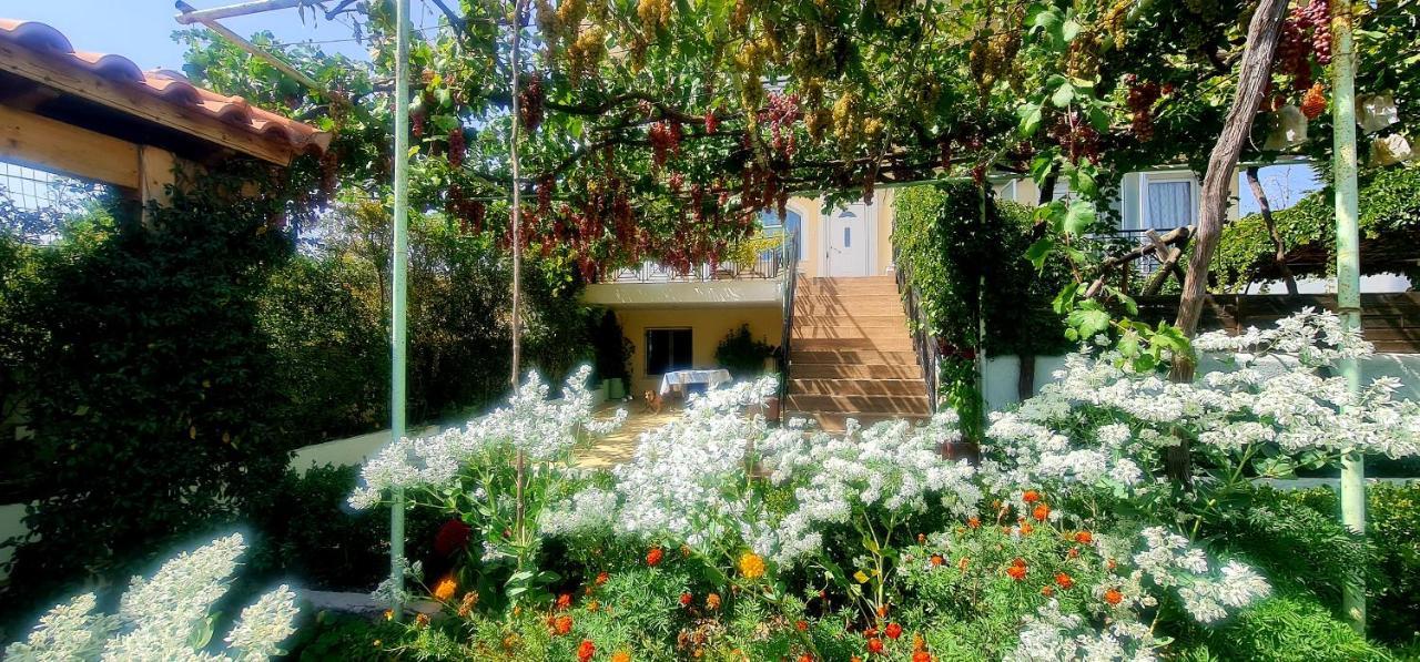 Apartamento Οικια Elisabeth Artemida  Exterior foto