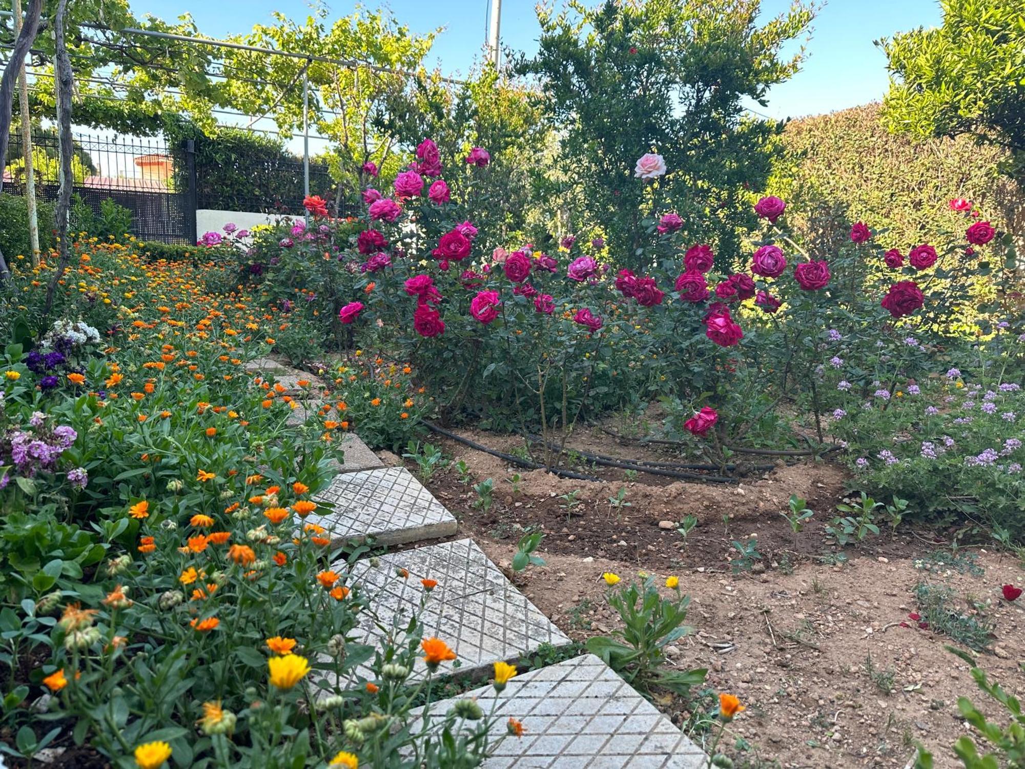 Apartamento Οικια Elisabeth Artemida  Exterior foto